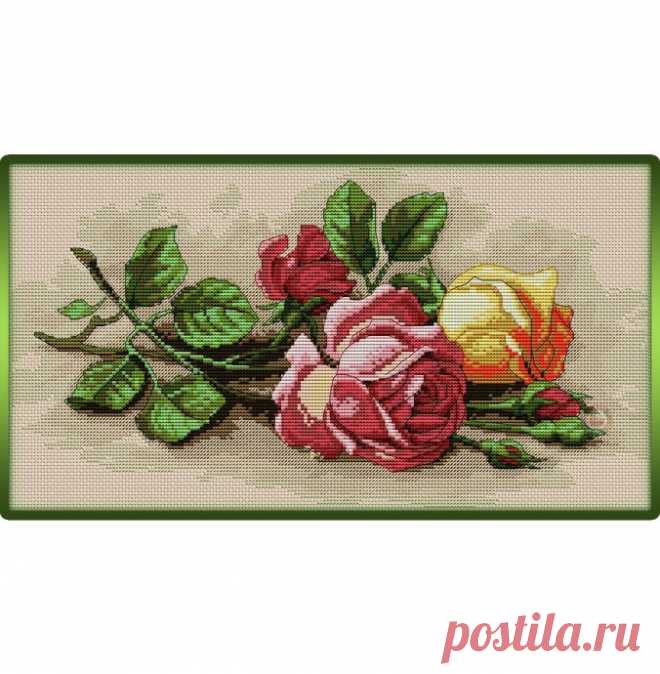 ​Лежащие розы