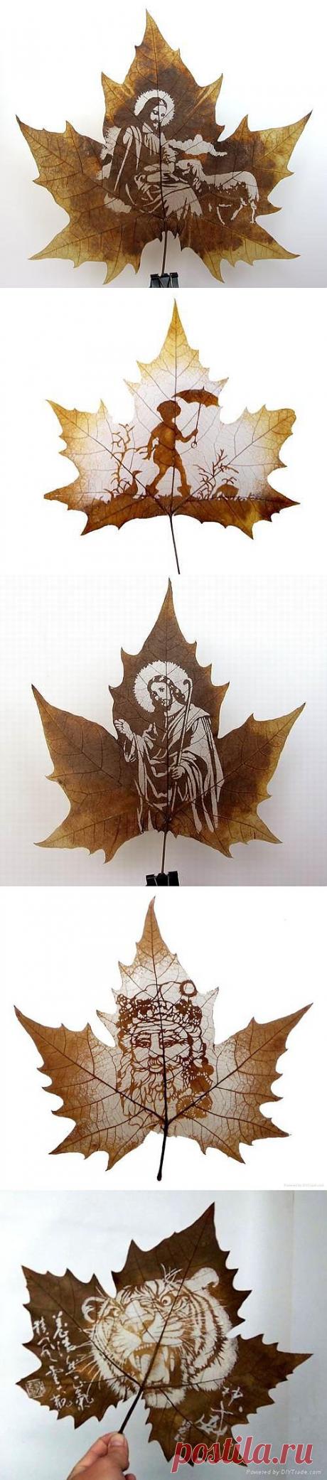 Прекрасная резьба по листьям / Я - суперпупер