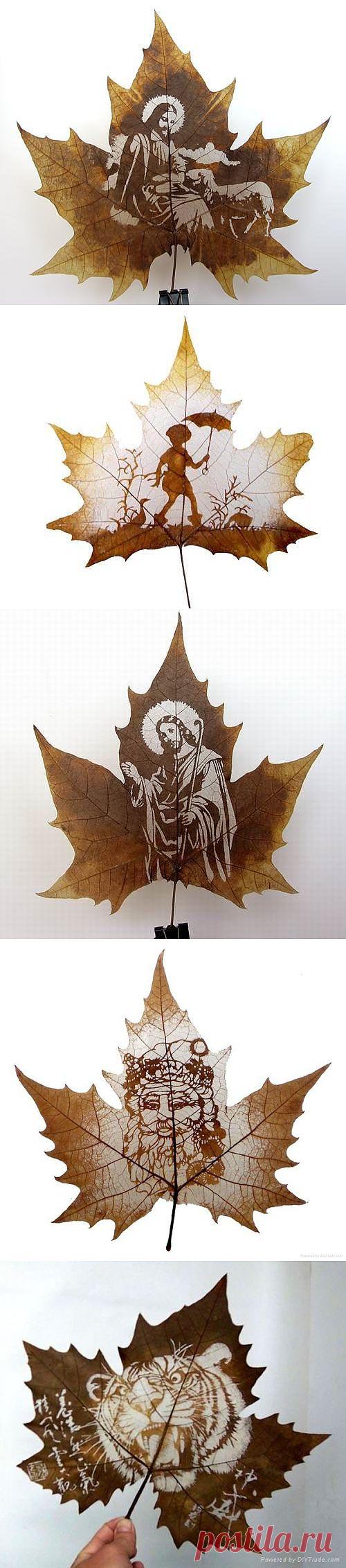 Прекрасная резьба по листьям / Я - суперпупер