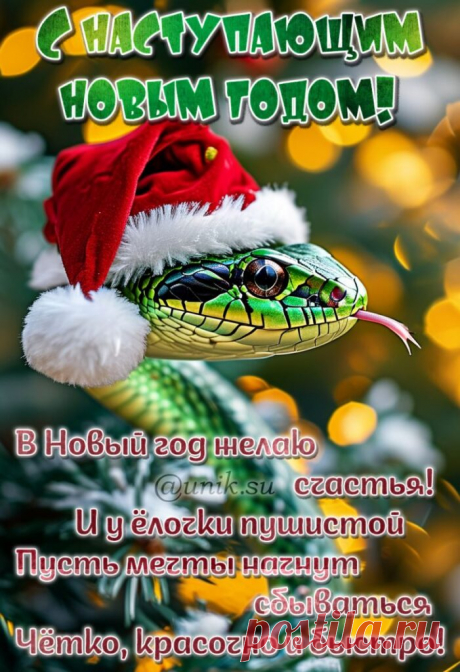 Пусть новогодние огни
Поднимут настроение.
Пусть в дом уверенно войдут
Достаток и везение!
С Наступающим новым годом!