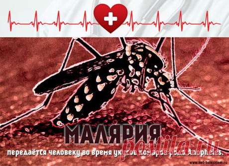 Что такое малярия: Причины, симптомы и лечение этой опасной инфекции 

Причиной малярии являются паразиты плазмодии, самым опасным считаясь Plasmodium falciparum.

Паразит попадает в организм во время укосов комаров рода Anopheles (малярийные комары) или во время переливания крови от зараженного человека.