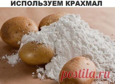 (51) Одноклассники