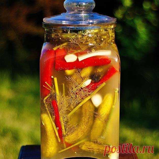 #Рецепты ферментированных продуктов
- Ферментация грибов. Ферментированные #грибы «умами-бомба»
- Ферментированная #рыба
- Хрустящие ферментированные сладкие #огурцы

10 советов по приготовлению хрустящих ферментированных огурцов (с рецептом)
- Рецепт хрустящих ферментированных огурцов
- «Традиционный метод» ферментации огурцов