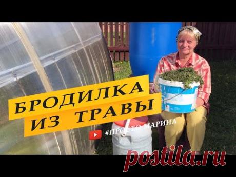 Зеленое удобрение из травы. Как приготовить и где применять.