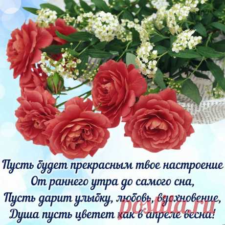 (4) Мой Мир@Mail.Ru