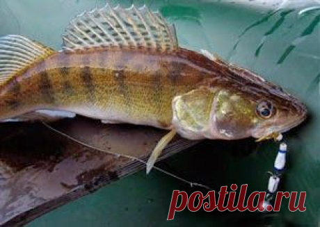 Рыбалка видео: Ловля на мандулу