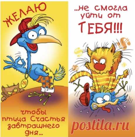 Выпуск №6437 - выпуск анекдотов сайта вокруг смеха