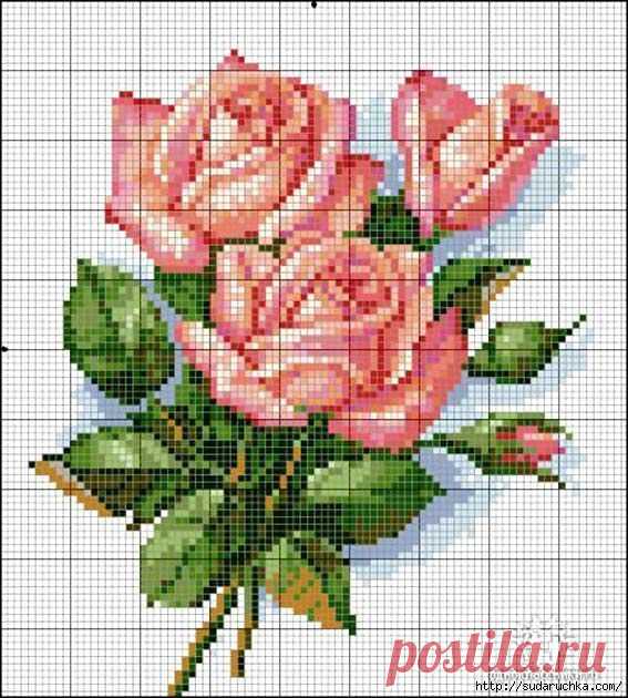 Розы. Схема для вышивки крестом.