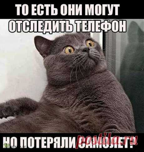 Народное экспромтное творчество 14 | Приколисты