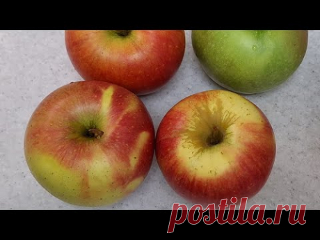Очень ЯБЛОЧНЫЙ ПИРОГ КОТОРЫЙ ТАЕТ ВО РТУ !!! ВКУСНО ПРОСТО и ОЧЕНЬ БЫСТРО