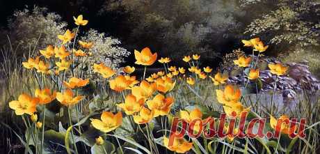 Художник Mary Dipnall. Полевые цветы... Разноцветье средь трав и росы....