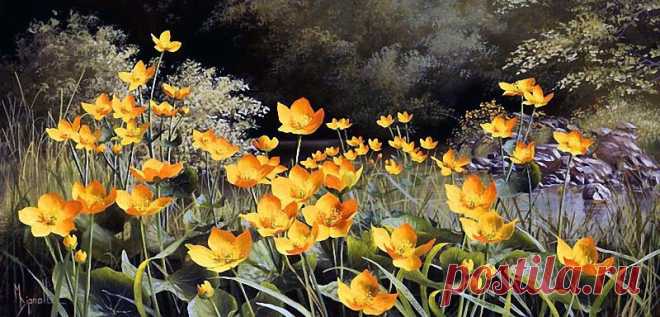 Художник Mary Dipnall. Полевые цветы... Разноцветье средь трав и росы....