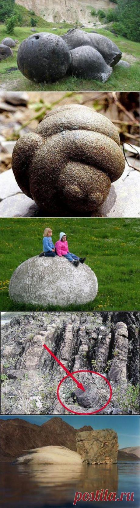 Живые камни - трованты - Наука и жизнь