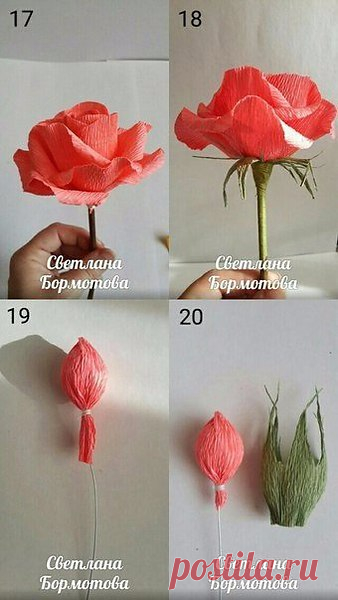 Интересные новости