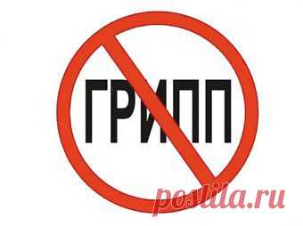 Ложь и правда о вакцинах против гриппа | ЖИВОЙ, ЕЩЕ ЖИВЕЕ