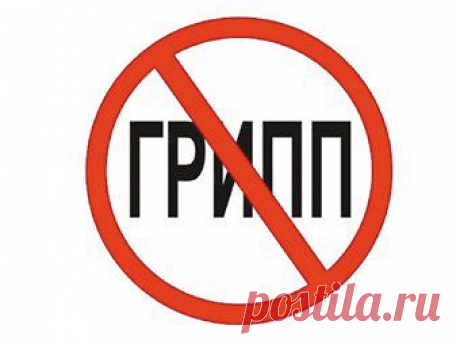 Ложь и правда о вакцинах против гриппа | ЖИВОЙ, ЕЩЕ ЖИВЕЕ