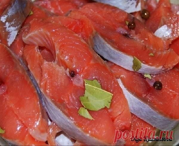 Соленая горбуша в масле с луком

В этом рецепте вы узнаете как засолить быстро рыбу и уже через час её можно будет кушать. Это безусловно вкусная засоленная рыба, попробуйте и убедитесь сами, это весьма оригинально. Рассмотрим, как засолить рыбу:

Ингредиенты:

Горбуша (свежемороженая) – 2 шт
Вода – 1 л
Соль – 5 ст. л.
Масло растительное (нерафинированное подсолнечное) — 150 мл
Лук репчатый — 1 шт

Приготовление:

Выпотрошенную рыбу режем на куски. Горбуша — рыба очень неж...