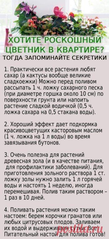 Пин на доске Для дома