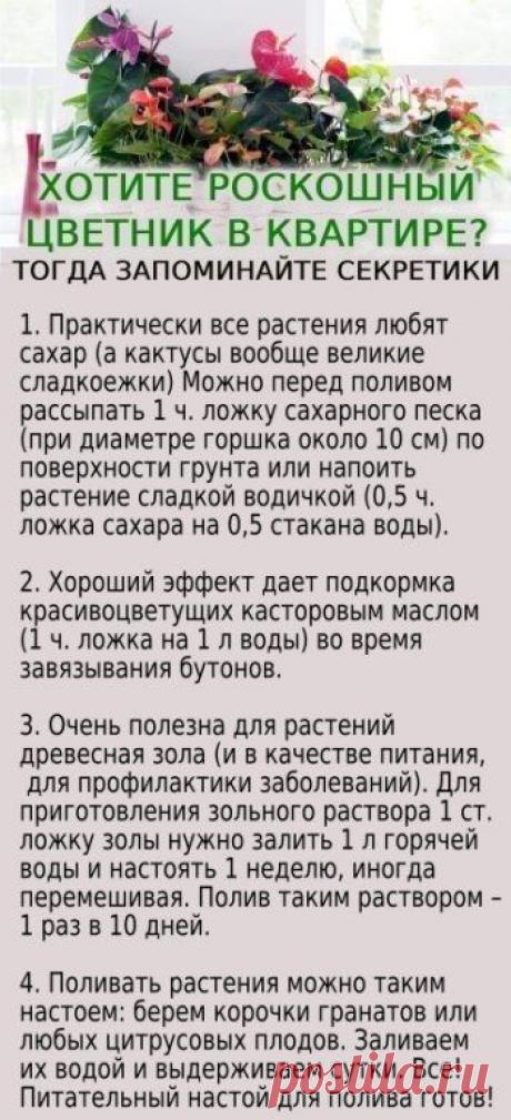 Пин на доске Для дома