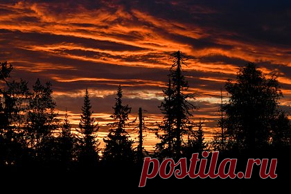 В российском регионе после исчезновения семьи Усольцевых пропал отец пятерых детей