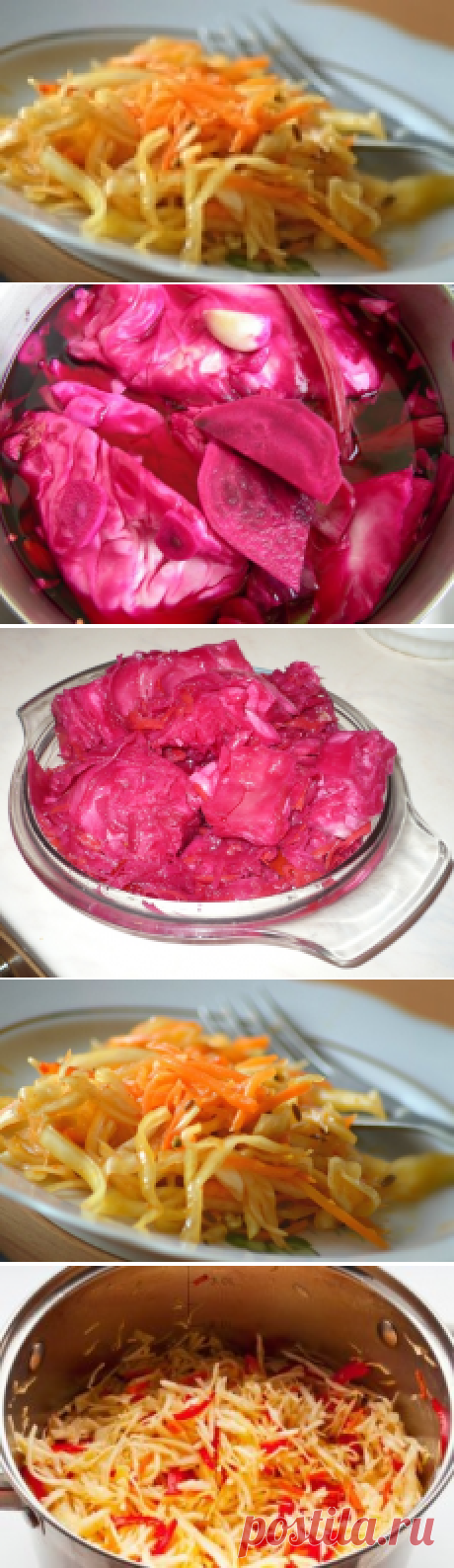 Маринованная капуста – вкусная и полезная заготовка на зиму