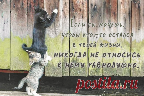 Если ты хочешь, чтобы кто-то остался в твоей жизни, никогда не относись к нему равнодушно.