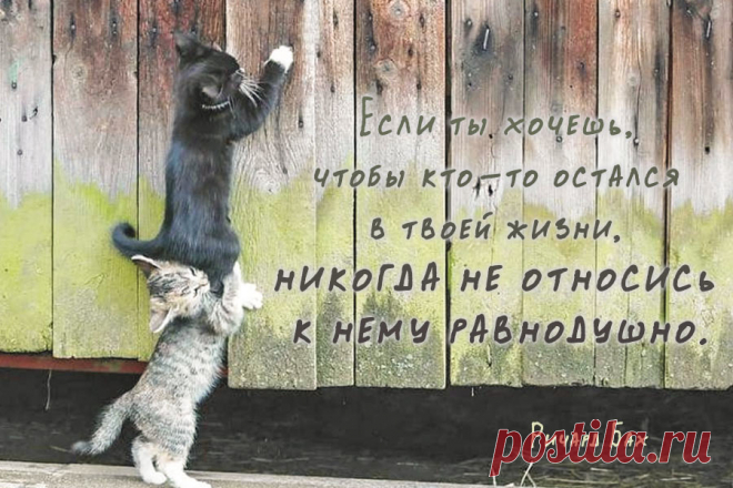 Если ты хочешь, чтобы кто-то остался в твоей жизни, никогда не относись к нему равнодушно.