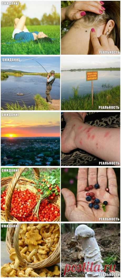 Лето: ожидания vs. реальность (14 фото)