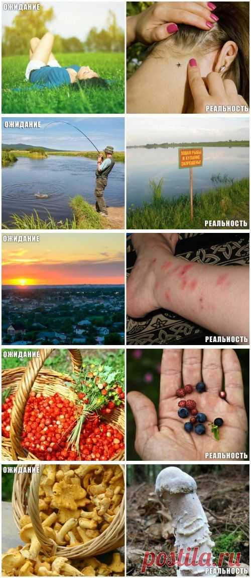 Лето: ожидания vs. реальность (14 фото)