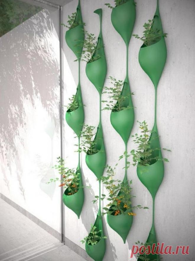 Стены дачного домика украсила с помощью необычных цветочных горшков: сделала их своими руками