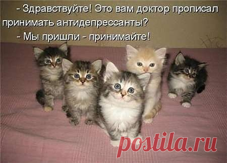 Стена