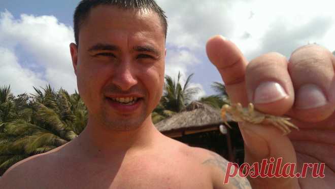 Антон Фурса