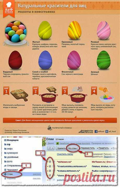Как покрасить яйца в яркие цвета, не используя химических красителей | Домохозяйки