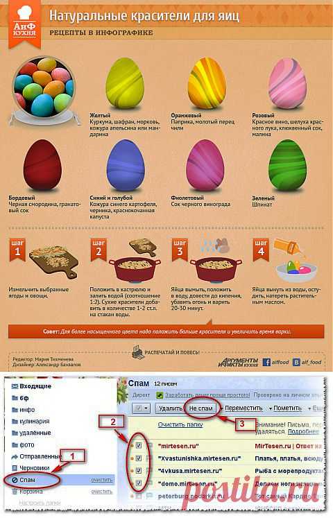 Как покрасить яйца в яркие цвета, не используя химических красителей | Домохозяйки
