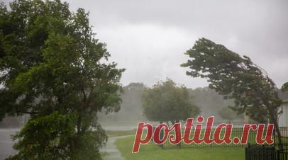 Климатолог Киселёв рассказал о причинах частых ураганов. Климатолог и ведущий научный сотрудник Главной геофизической обсерватории имени Воейкова Андрей Киселёв рассказал о причинах частых ураганов. Читать далее