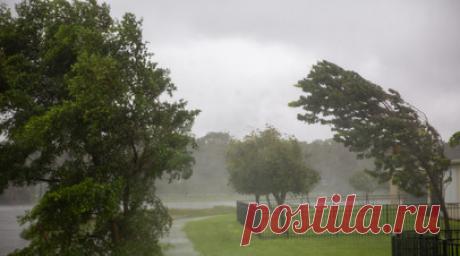 Климатолог Киселёв рассказал о причинах частых ураганов. Климатолог и ведущий научный сотрудник Главной геофизической обсерватории имени Воейкова Андрей Киселёв рассказал о причинах частых ураганов. Читать далее