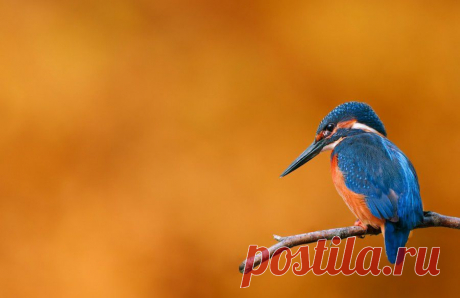 Природа.