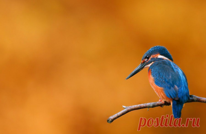 Природа.