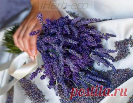 Wall | VK
☀ Лавандовая Продукция Organic от iHerb
Лаванда - растение удивительной красоты, неповторимого аромата и уникальной пользы для человеческого организма - при регулярном употреблении растения в пищу укрепляется иммунитет и организм человека становится менее уязвим для различных вирусов и простудных заболеваний.