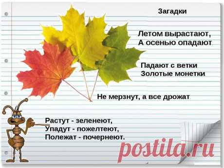 Загадки про осень с картинками для 2 класса (19 фото) ⭐ Забавник