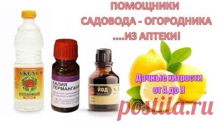 Помощники садовода- огородника из аптеки.