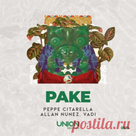 Peppe Citarella, Allan Nunez, Vadi - PAKE (Extended Mix) | 4DJsonline.com