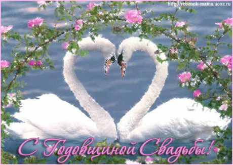 11739060.gif (GIF Image, 550 × 390 pixels)