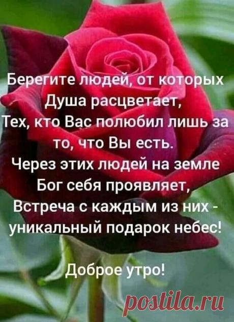 проявление