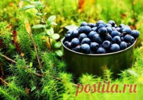 Как улучшить зрение с помощью народных средств?