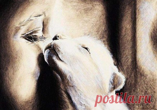 Забывайте обиды, никогда не забывайте доброту.
© Конфуций