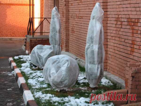 Работы в саду и на огороде в октябре - статья от пользователя ОБИ Клуба