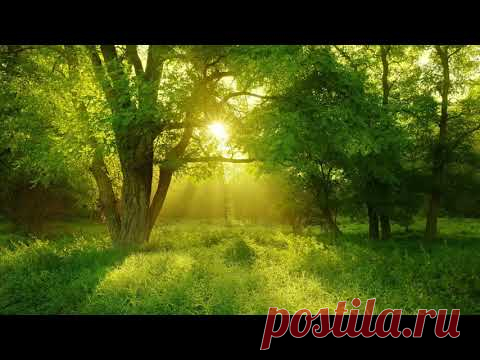 Соловей, Жаворонок и Славка-черноголовка Волшебное трио Насыщенное пение птиц