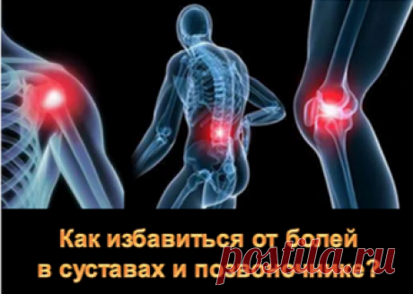 Глюкозамин и хондроитин – лучшие друзья для наших суставов. Глюкозамин и хондроитин являются основными строительными элементами, из которых построена хрящевая ткань, суставы, позвоночник
