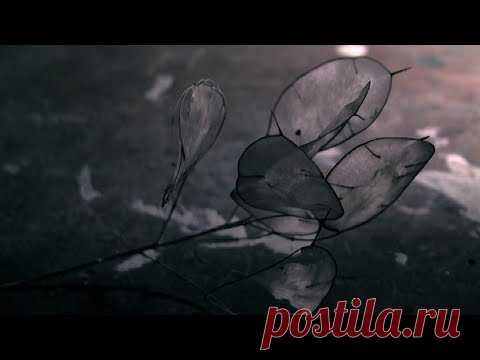 Geluidenfabriek - Firmament - METICULOUS MIDGETS - сетевой арт-лейбл, интернет-радио